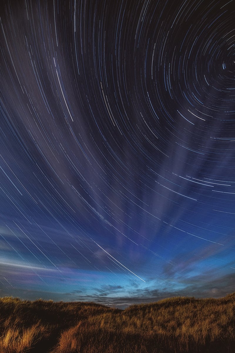 Starlit Vineyard
